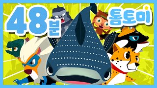 톰토미 동물 동요 모음🦁🐯🐷 | 동물 인기 동요 연속듣기🏆 | 동물 노래 BEST  | 톰토미 (TOMTOMI)