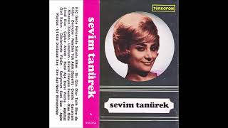 Reklamsiz Türkofon Türküola Kaset Resimleri Seri 1