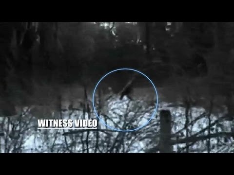 Video: Bigfoot Från Minnesota - Alternativ Vy