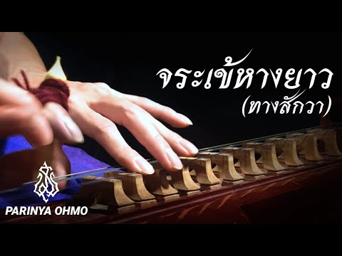 จระเข้หางยาว​ทางสักวา​ จะเข้