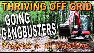 OFF GRID HOMESTEADING   Going Gangbusters and Fulfilling Dreams, A Backwoods Living Vlog #105