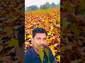mera makka or mera ghar kitna best vu hai #viralvideo #minivlog #shortvideo #makka #ghar