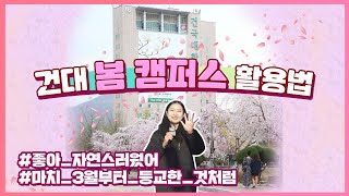캠퍼스 벚꽃사진 어디서 찍어야 해? 투데이건국 김유정이 알려주는 봄 캠퍼스 100% 활용법!