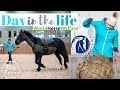 Horse Rehoming Centre Day in the life at World Horse Welfare | This Esme