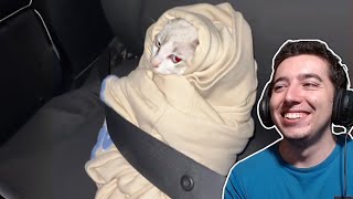 UNUSUAL MEMES COMPILATION V284 Reaction