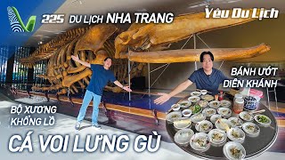 YDL #225: Bộ xương cá voi khổng lồ ở Nha Trang, ăn nhiều món đường phố | Yêu Máy Bay