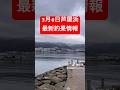 【緊急】芦屋浜チヌ完全開幕‼︎ ノッコミ突入で止まらない…【3月最新】芦屋浜、今行かないと損。 #shorts #short