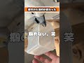 クモを見せたら容器を奪いにきたゆきまる氏の目的とは…#shorts