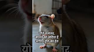 দুরের যন্ত্রণা থেকে মুক্তি পাওয়ার উপায়! 🐀 #Rat Control Tips #ratদুরের যন্ত্রণা থেকে মুক্তি পাওয়ার