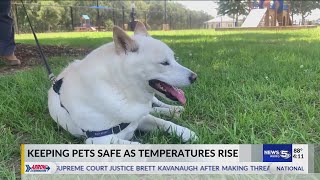 Detailed You can give your dogs Pedialyte if dehydrated Profile