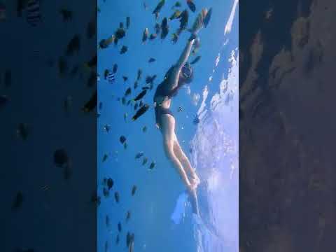 #UnderwaterPhotography #Diving Girl #Diving #Underwater Shooting #Free Diving #Sanya Diving#shorts