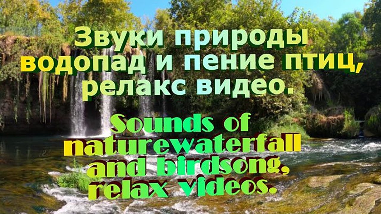 Звуки природы для релаксации. Релакс музыка звуки природы фортепиано. Звук природы видео. Звуки леса релакс. Релакс музыка природа.