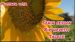 Bu Sevgi Deyil Şk Bence Iz Dayı Dıyorkı Fazla Sevme Yıyen