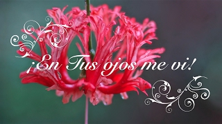 Britt Nicole -  THROUGH YOUR EYES -  Español
