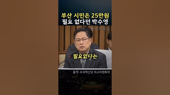 지원금 따위 부산 시민들은 필요없다던 국힘 박수영, 한마디하는 조국혁신당 황명필 의원 #정치