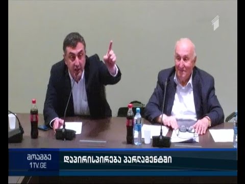 დაპირისპირება დეპუტატებს შორის - რა გახდა უთანხმოების მიზეზი განათლების კომიტეტის სხდომაზე