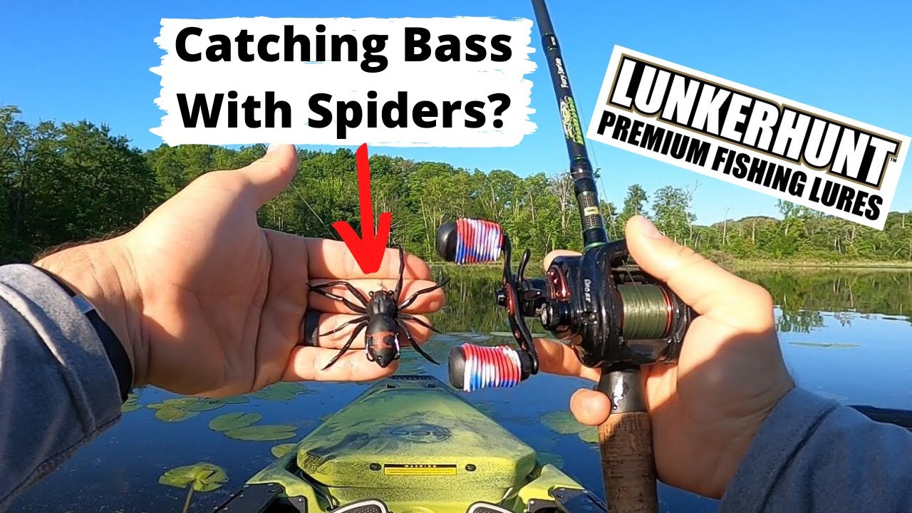 Bass LOVE The Lunkerhunt Phantom Spider! 
