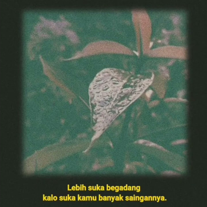 Story Wa | Snap Wa | Status Wa | Lagu Cover | Kata Kata Motivator