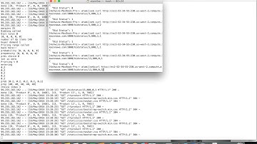 Dynamic Pricing Model