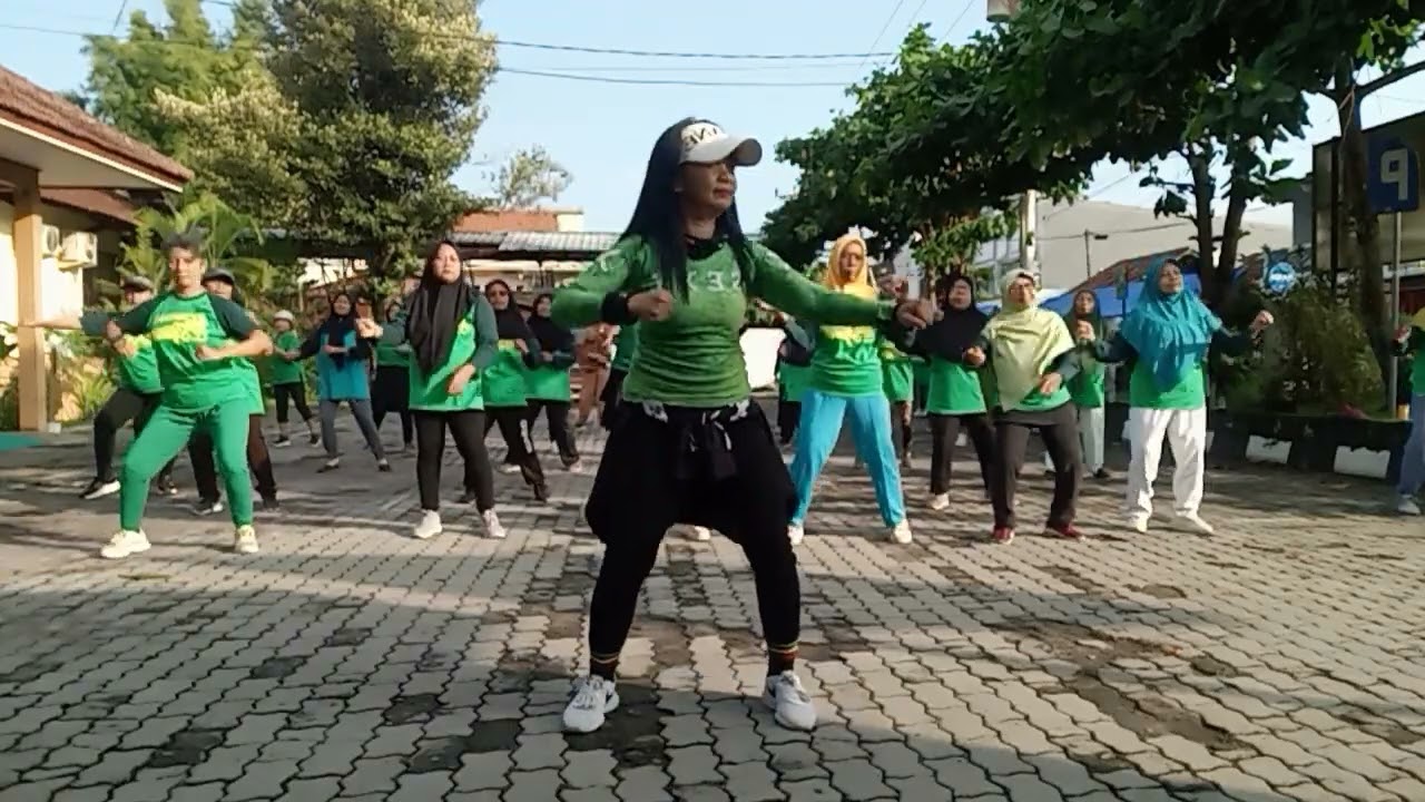 DJ STECU STECU //Remix