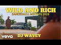 WILD AND RICH DANCEHALL MIXTAPE { 2023 } 450 KRAFF AI MILLY NAJERIII  VALIANT SKENG ETC [DJ WAVEY]