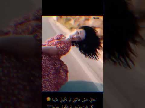 حالي مش هاممني لو تكوني غايبه محمد سعيد