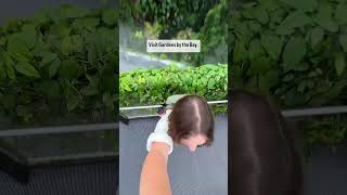 How does your #MadeInSingapore adventure look like? #visitsingapore #shorts #adventure