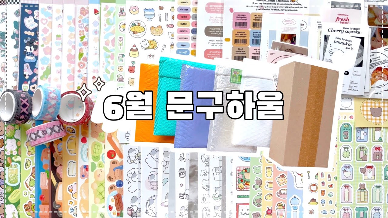 오랜만에 하는 소비라 잔뜩 신난 6월 문구하울 📦ㅣ데코보코 • 히야네 • 소소히히 • 은도러블