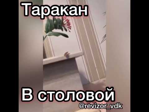 Камера сняла неприятный сюрприз в популярном заведении в городе