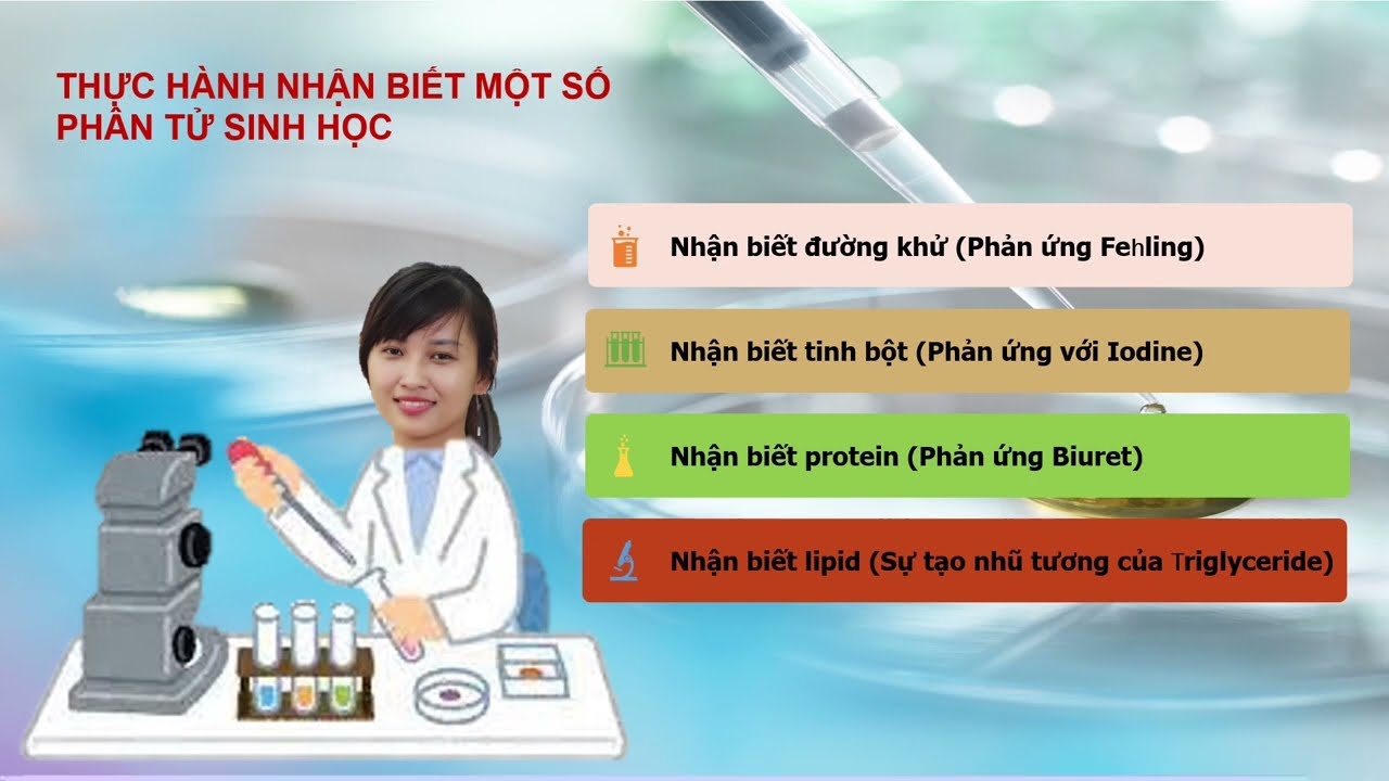 THỰC HÀNH NHẬN BIẾT MỘT SỐ PHÂN TỬ SINH HỌC (SINH HỌC 10)