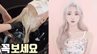 백금발 탈색 토닝 염색으로 1번만에 하는법 총정리(레시피,뿌리탈색,리턴탈색약,호유염색)