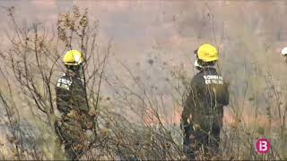 Extingit Lincendi Al Secar De La Real A Palma Que Deixa 7Ha Cremades