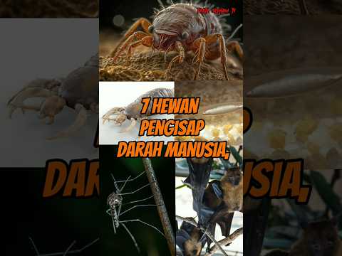 7 Hewan penghisap
