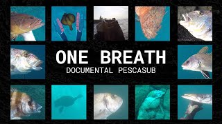 🎬  One Breath  - Documental Pescasub 🔱