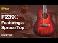 Strydom F239C Acoustic guitar | RAW REVIEWS | Strydom Guitars | Procraft India