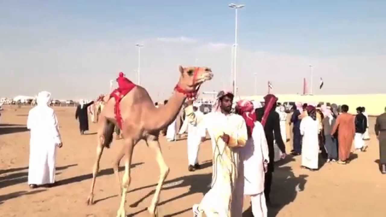 Robot Jockeys NEW UPDATE YouTube