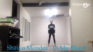 Shawn Mendes - In My Blood (self choreographed)