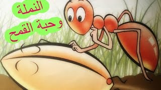 النملة وحبة القمح | أحبتي الصغار