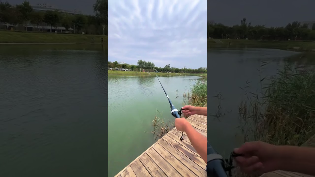 Cần câu gấp gọn 30cm có gì hay không? #fishing #shorts