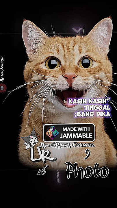 DJ Kamu Yang Kasih Tinggal 😽 Cover Ai Kucing #aicover #kucing #cat #lirik #fyp #trend