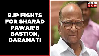 Post Thackeray, Pawar is the next target for BJP | Fight For Baramati | BJP VS Sharad Pawar