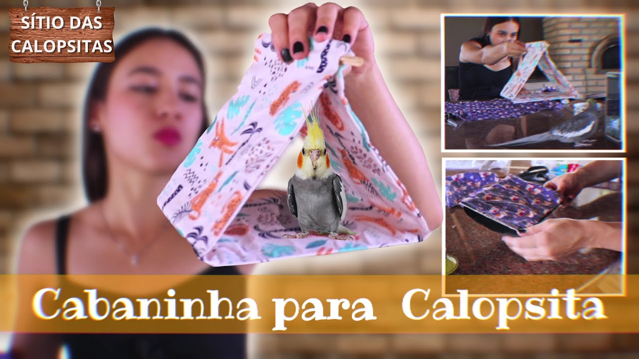 COMO FAZER BARRACA PARA CALOPSITA