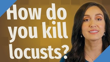 How do you kill locusts?