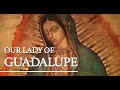 Our Lady of Guadalupe