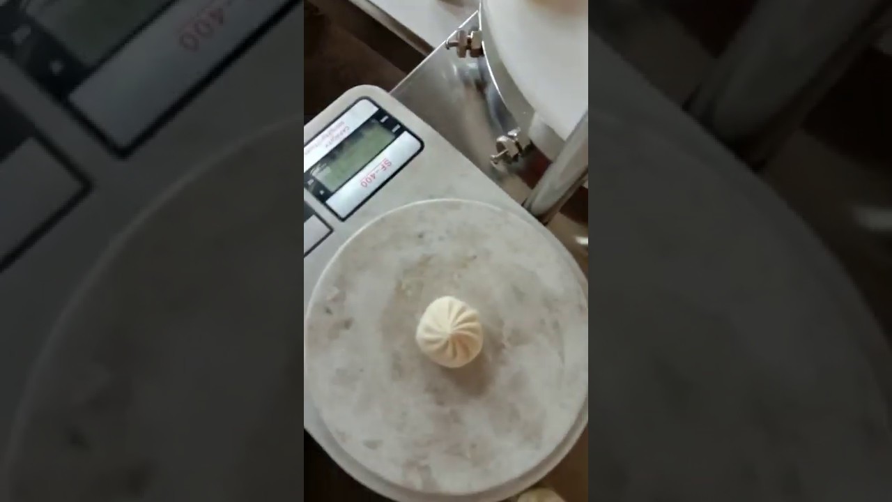 15g momo automatic momo making machine price nepal,soup dumpling making