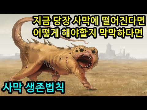 지금 당장 사막에 떨어져도 살아남기 위한 생존법칙