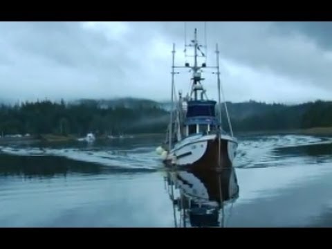 How to Pan-Fry Wild Salmon - Behind the Recipe | Allrecipes.com - YouTube