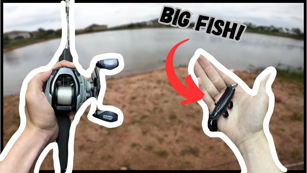 Try THIS bait next time you have OVERCAST conditions (BIG FISH!)