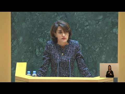 გამოსვლა სესიაზე თანამომხსენებლად \'მინისტრის საათის\' ფორმატში-მაკა ბოჭორიშვილი/Maka Botchorishvili