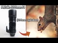 Olympus 300mm f4 pro lens first impressions